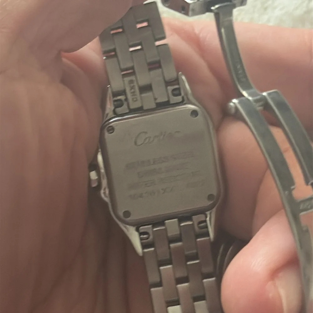 Stainless Steel Panthere Watch - Picture 6 of 8